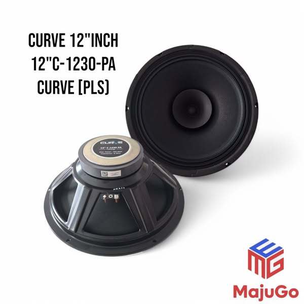 SPEAKER CURVE 12 INCH C-1230-PA CURVE (PLS)