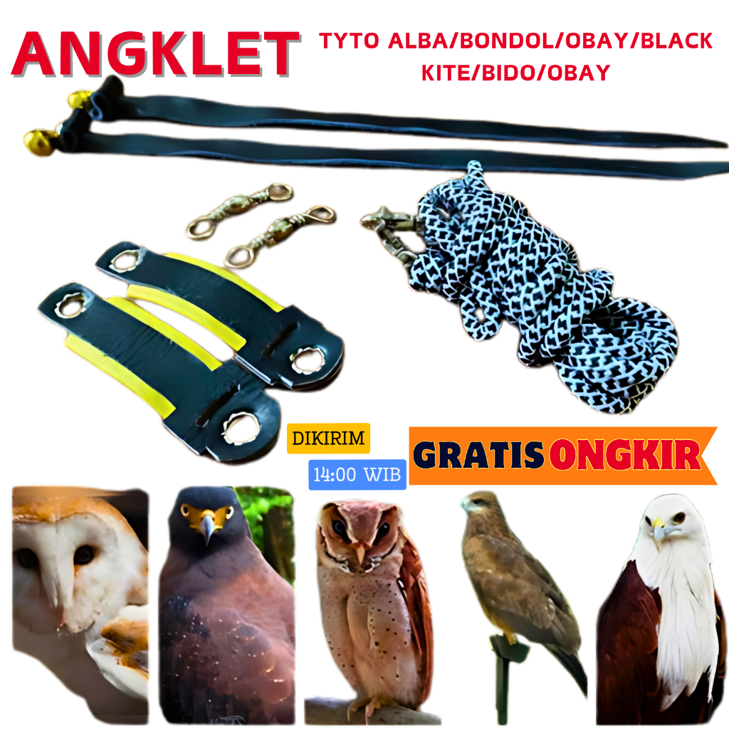 Angklet Motif Burung Elang/Burung Hantu Tyto Alba/Bondol/Obay/Black Kite/Bido/Obay