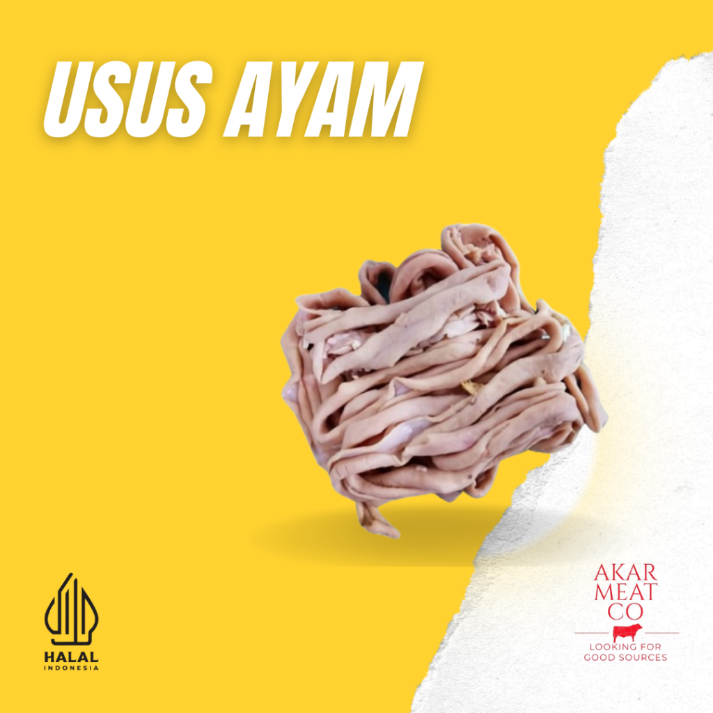 

Usus Ayam