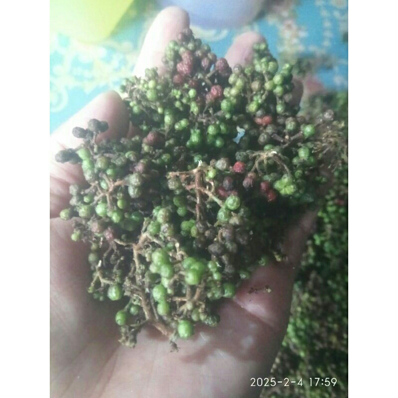 

andaliman segar 100 gram