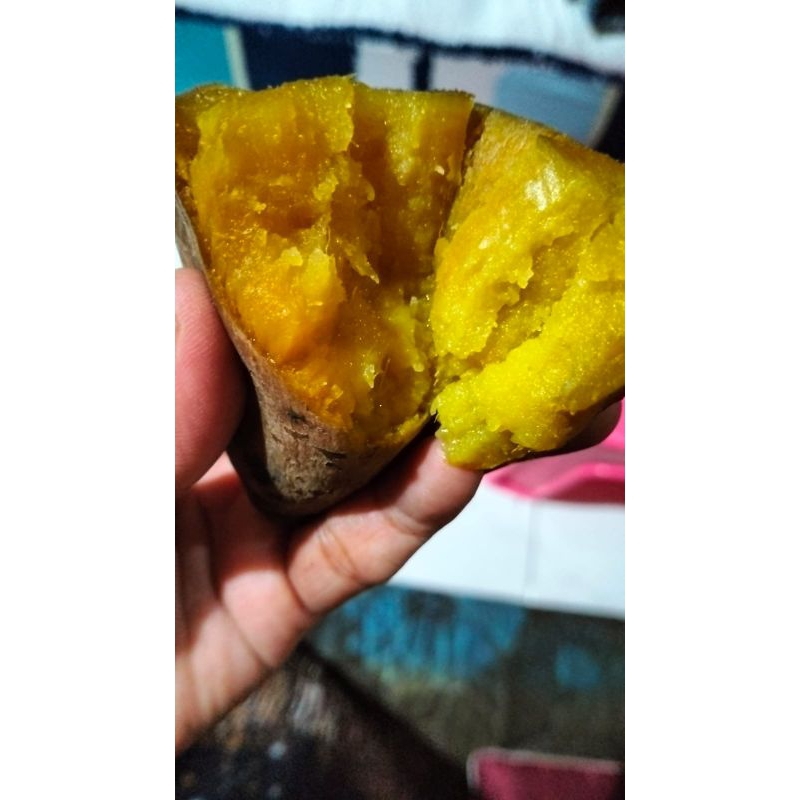 

Ubi madu #ubicilembu