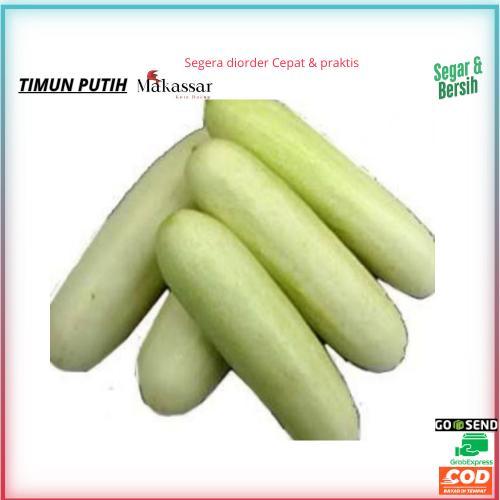 

Timun,timun segar,timun makassar,timun murah,timun putih,timun putih segar,timun lalapan,timun berkualitas,timun baru,jual timun,harga timun