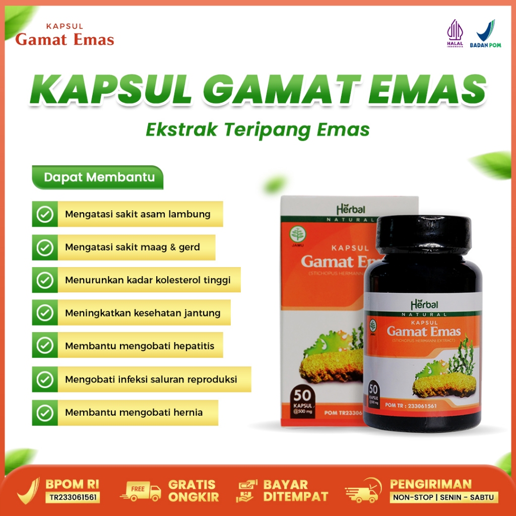 Obat Kolesterol Darah Tinggi Kapsul Gamat Emas 100% Original Ektrak Teripang Emas Laut 50 Kapsul COD