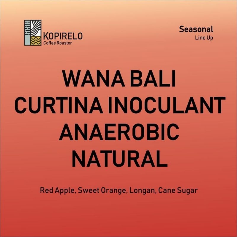 

Kopi Arabika Filter - Bali Curtina 120 Hours Inoculant Anaerobic Natural 200 gr