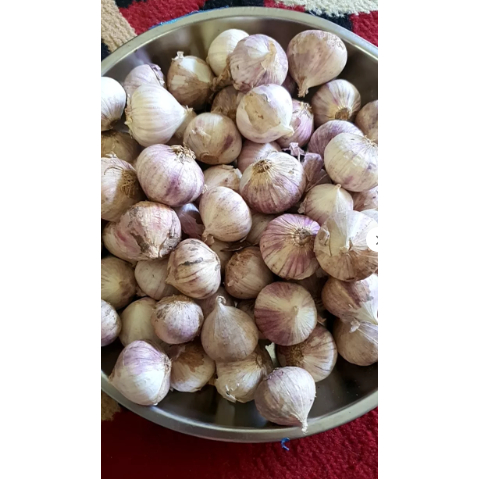 

BAWANG PUTIH TUNGGAL LANANG IMPORT 1KG