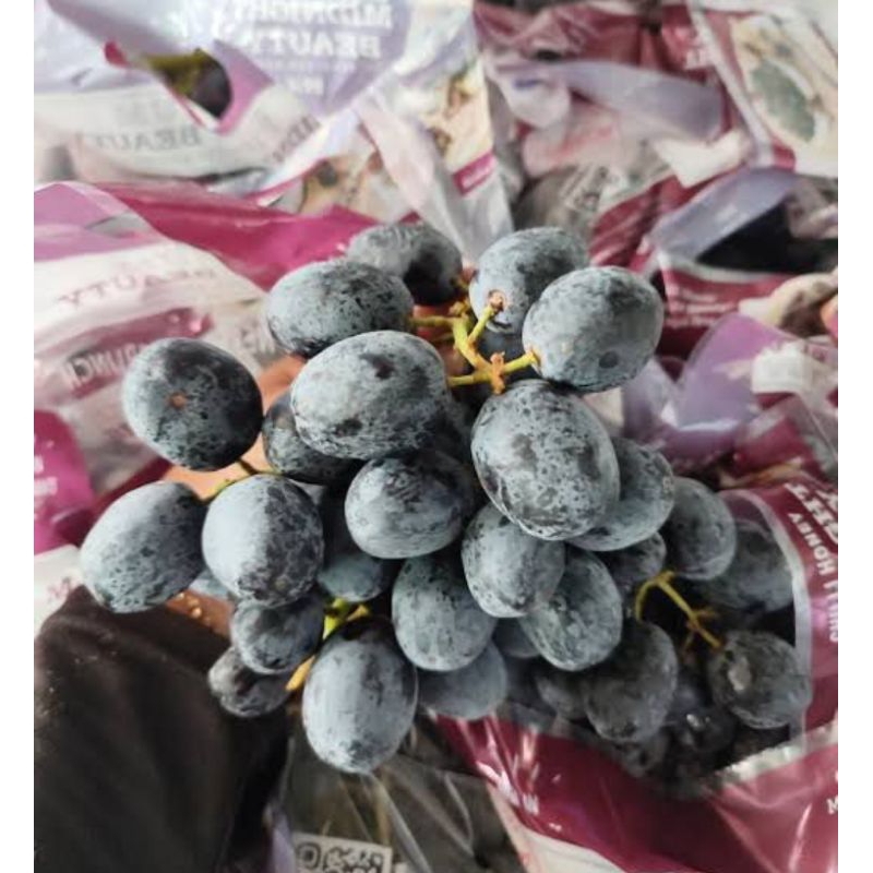 

Buah Anggur Midnight beauty Ausi | Buah anggur hitam manis 500 gram | Anggur Midnight