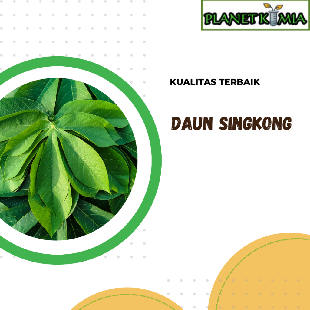 

ekstrak daun singkong best product