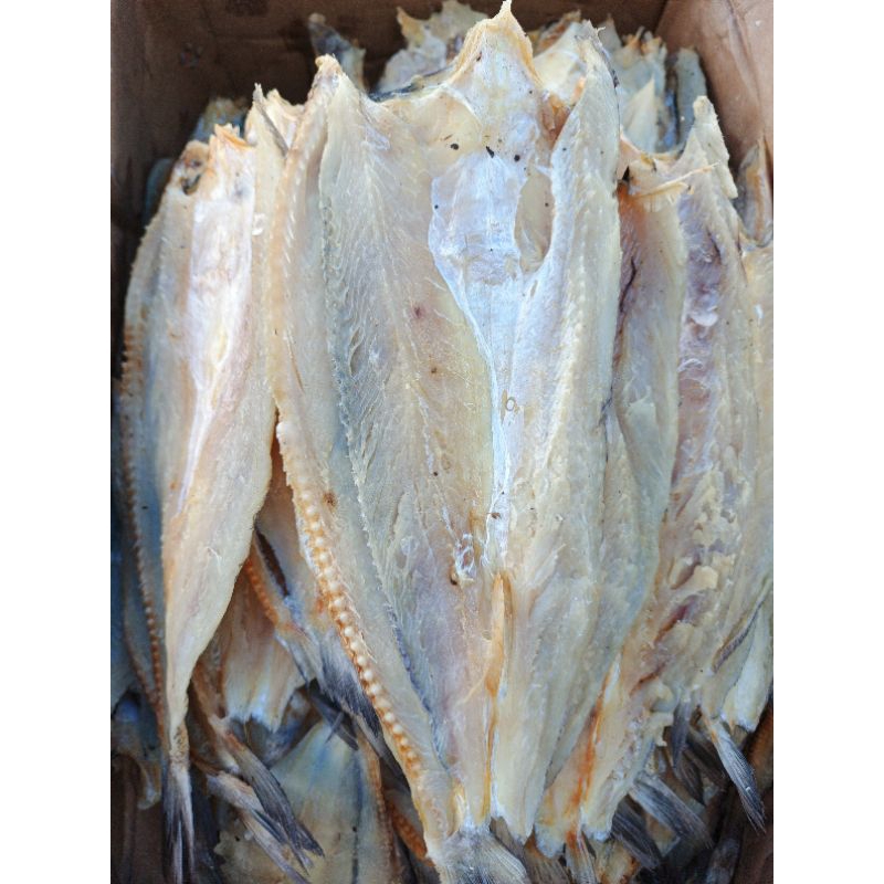 

Ikan Gabus Asin Belah Ikan Cucuk