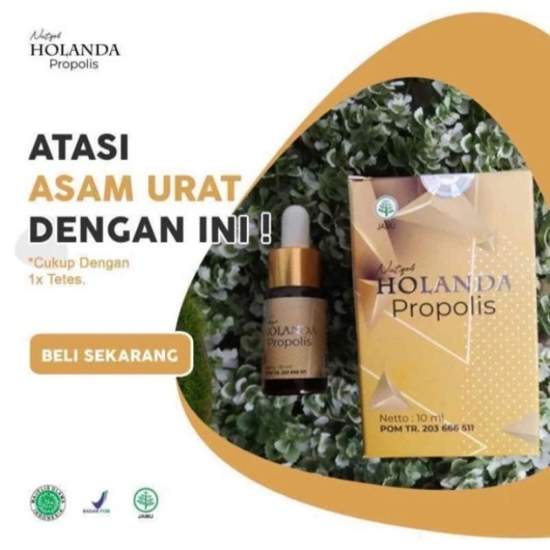 holanda propolis asli original
