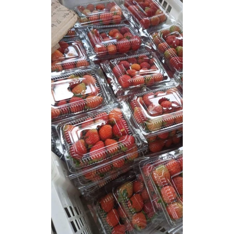 

Strawberry fresh Bandung Ciwidey