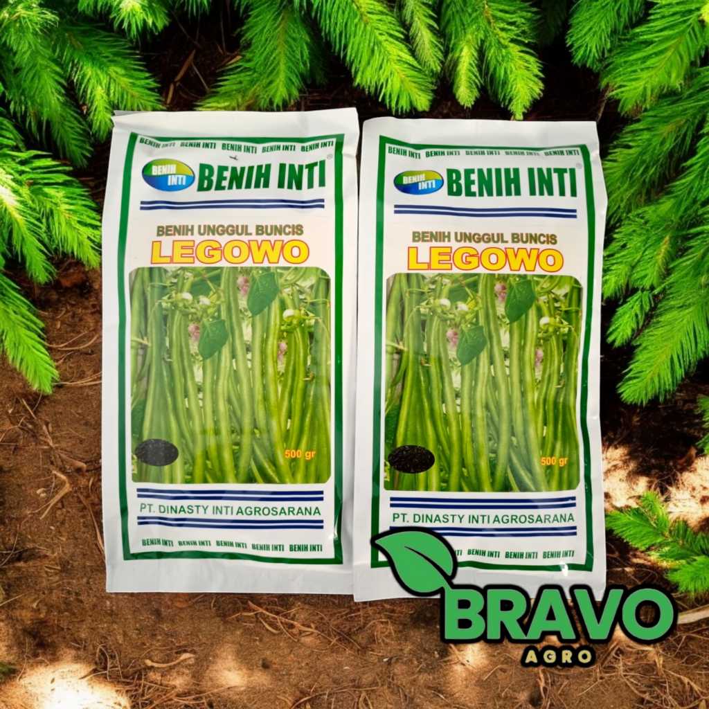 Benih Unggul Buncis LEGOWO 500 Gram - Benih Inti 100% Oiginal