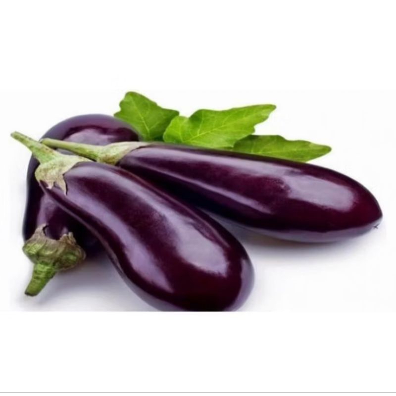 

TERONG UNGU Super Fress 1 Kg