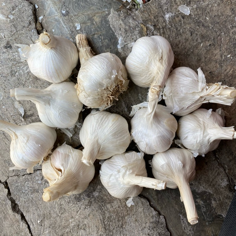 

Bawang Putih Merk Rose Berkualitas Made In China