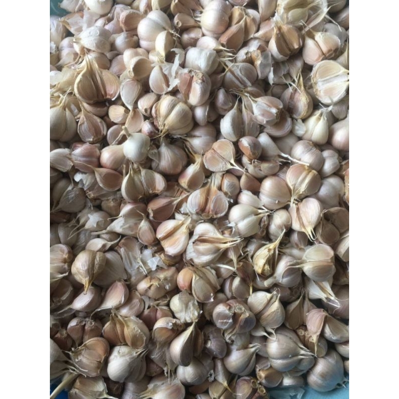 

BAWANG PUTIH KATING SUPER BERSIH