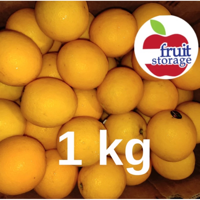 

Jeruk Valencia Import fresh buah segar impor