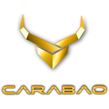 Volturi Cue Case Buffalo Brogue 2