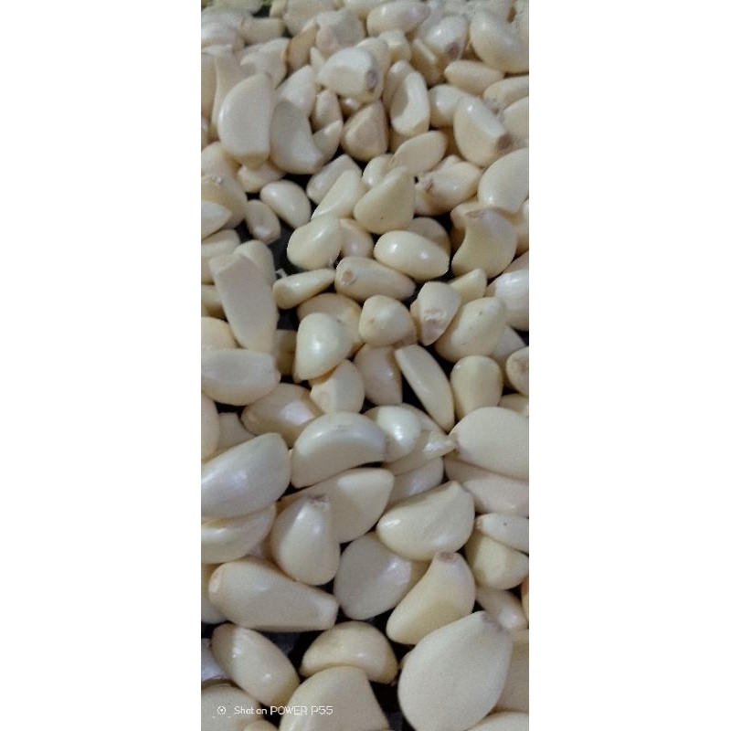 

bawang sinco kupas fress berat 1 kg fresh dari petani