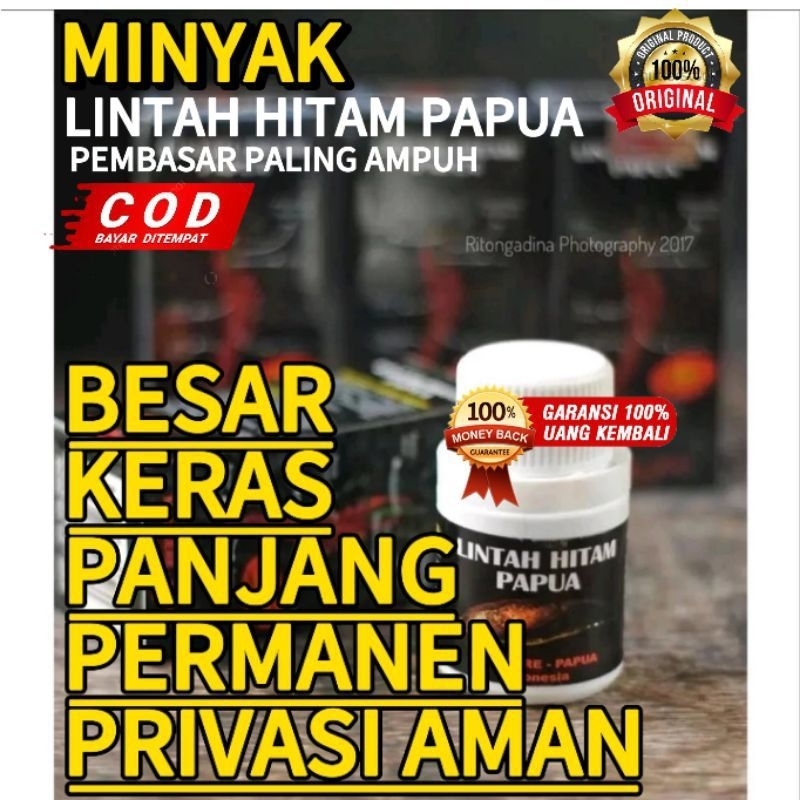 minyak lintah Papua original