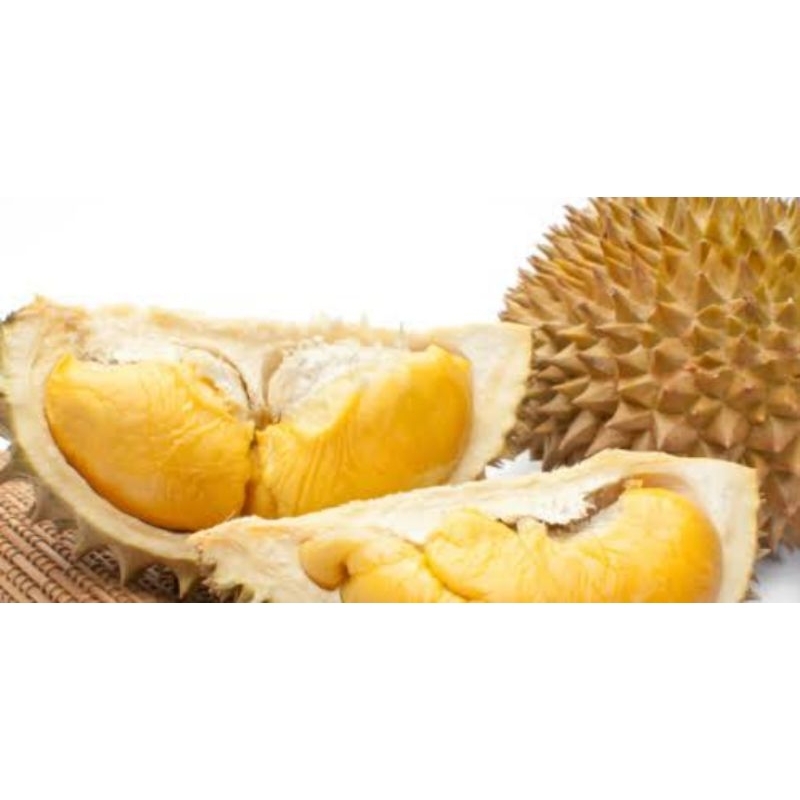 BUAH DURIAN MONTONG THAILAND BULAT UTUH BUAH DURIAN FRESH