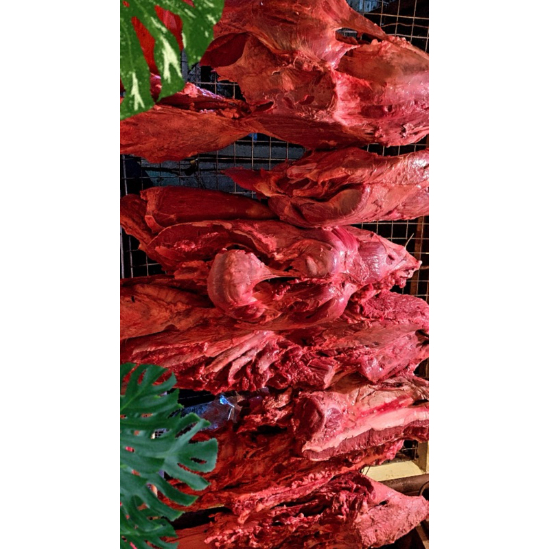 

Daging Sapi Segar