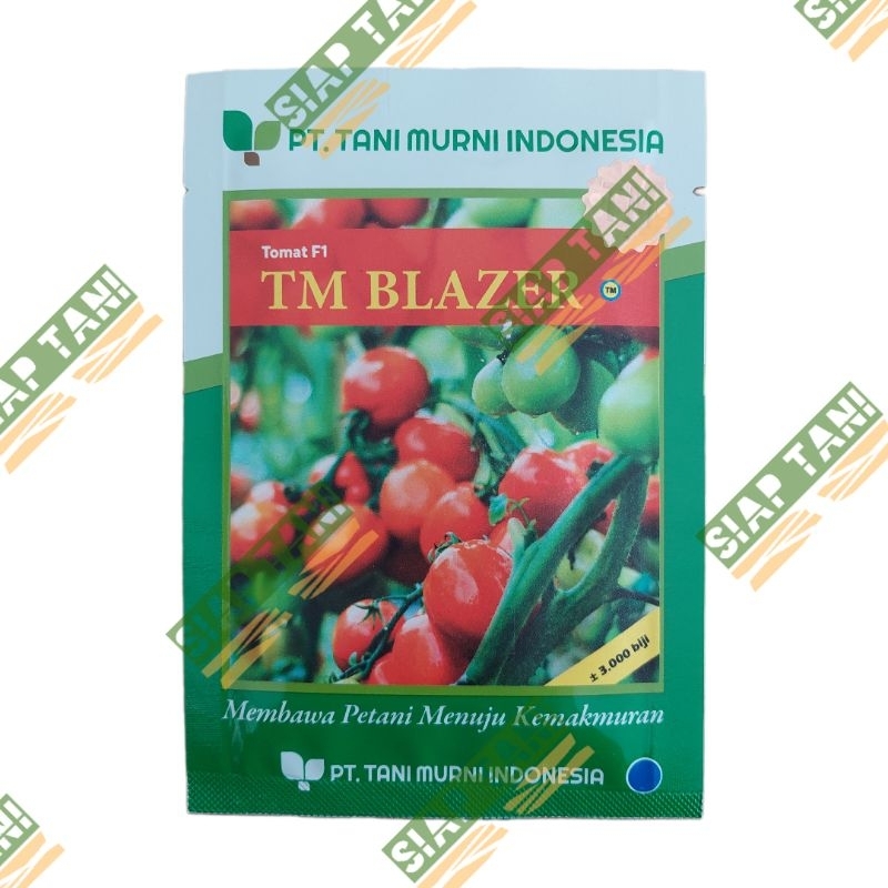 BENIH TOMAT TM BLAZER 3.000 BIJI