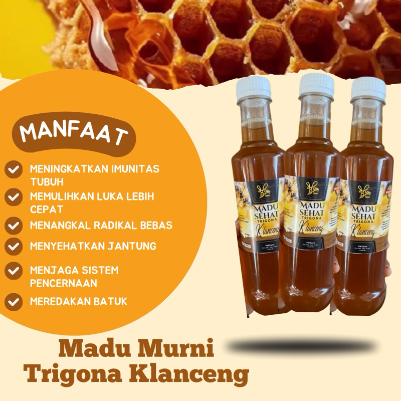 

Madu Trigona Klanceng Murni , Madu Kesehatan 470 gr