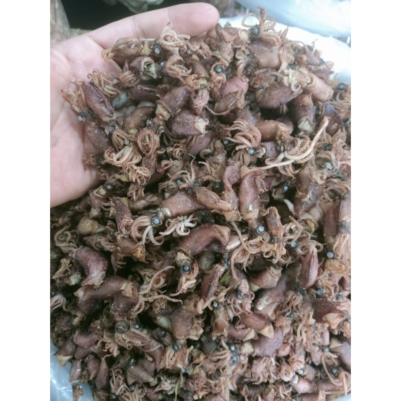 

Cumi baby cumi sotong kering kecil dan sedang tidak asin 500gr dari tanjung pinang