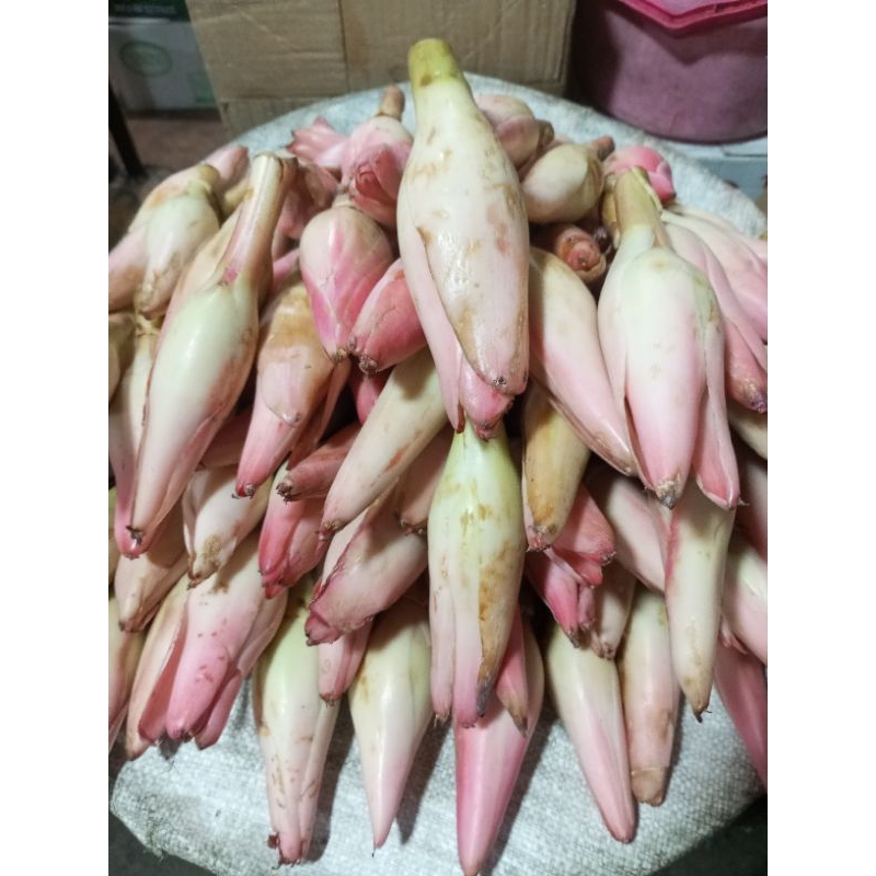 

bunga rias has sumatra 1/4kg