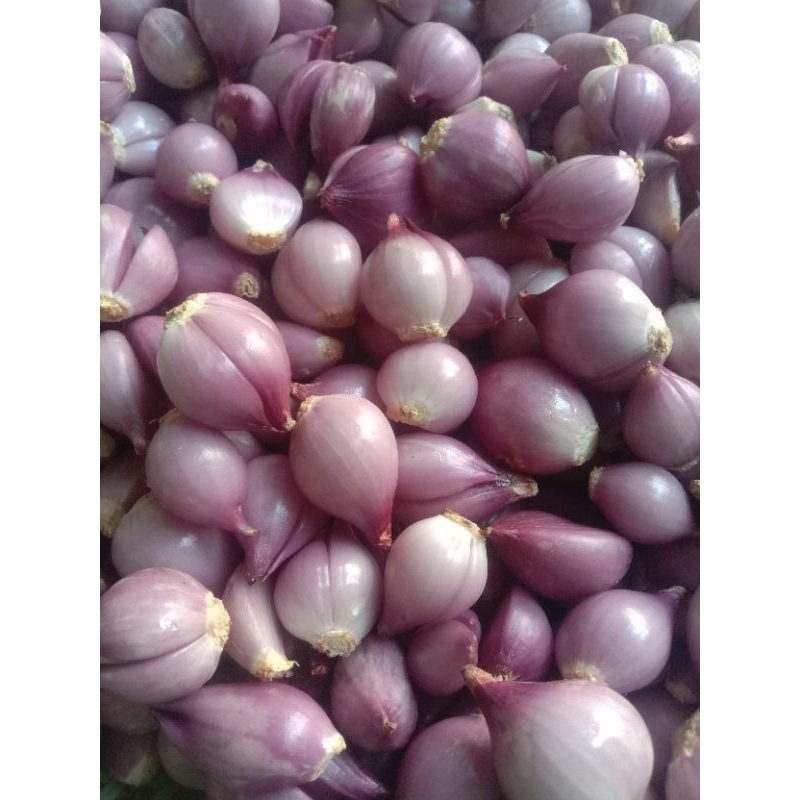 

Bawang Merah Kupas 1kg, Brambang Segar Kupasan