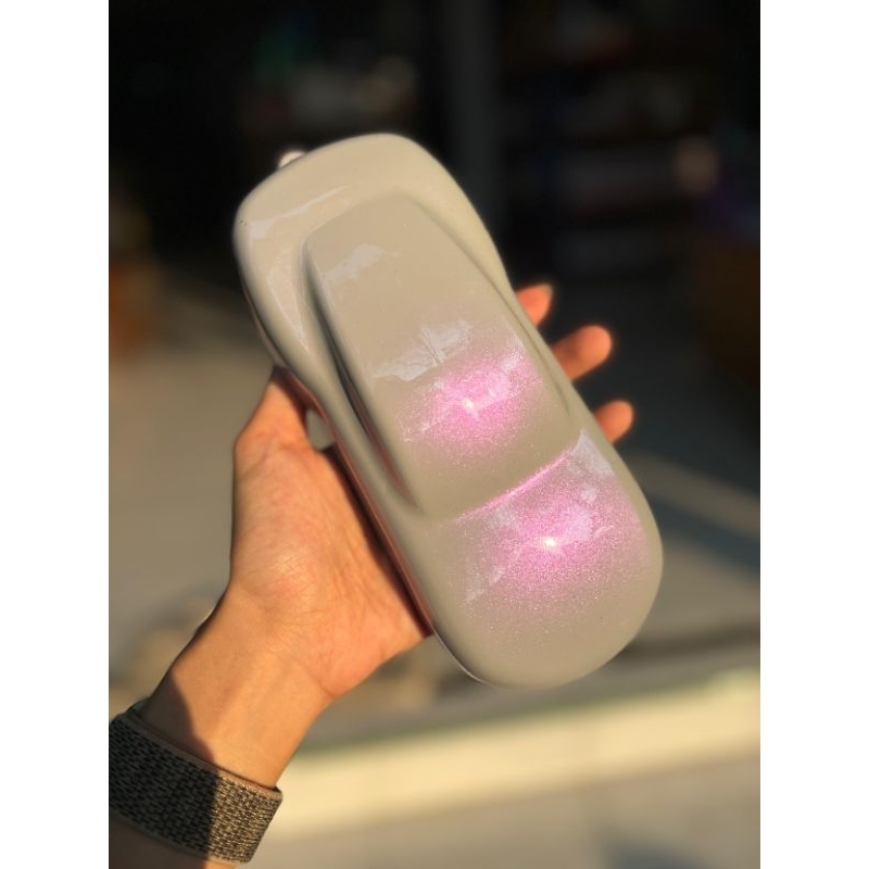 Cat Nardo Grey Special Effect Violet - Cat PU AXT Belkote Paint// Nardo Grey Purple/ Nardo Grey Lila
