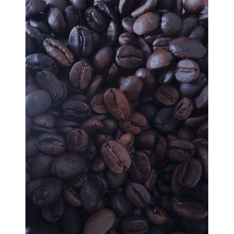 

KOPI ARABIKA HONEY PUNTANG 1 KG - ARABICA BEANS