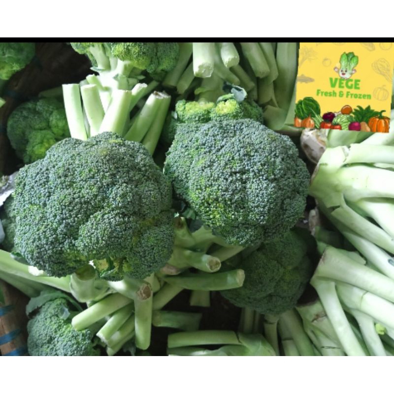 

Brokoli | Sayur brokoli fresh per kilo | Kembang kol