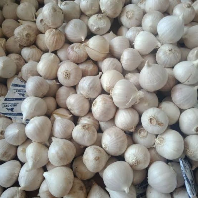

Bawang Putih Lanang / Tunggal 1 kg