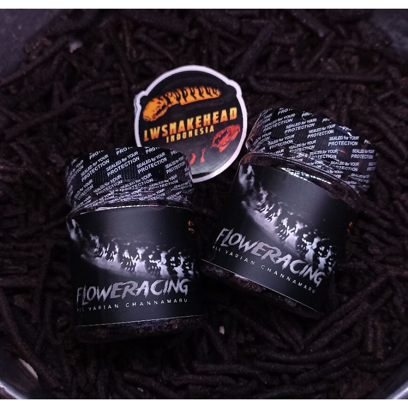 PELET FLOWERACING //pakan channa maru