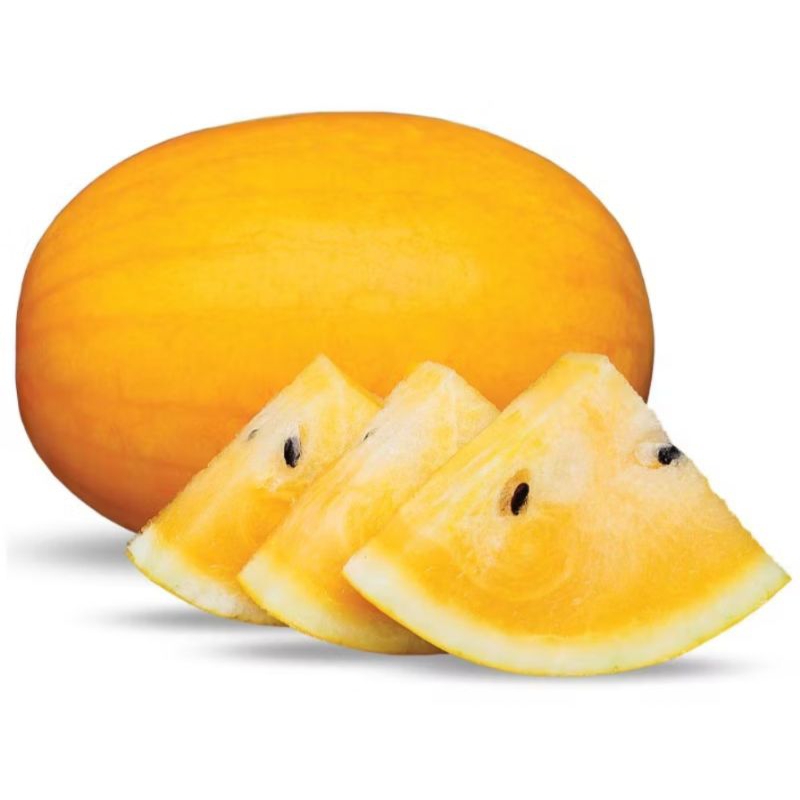 

semangka gold 1 buah