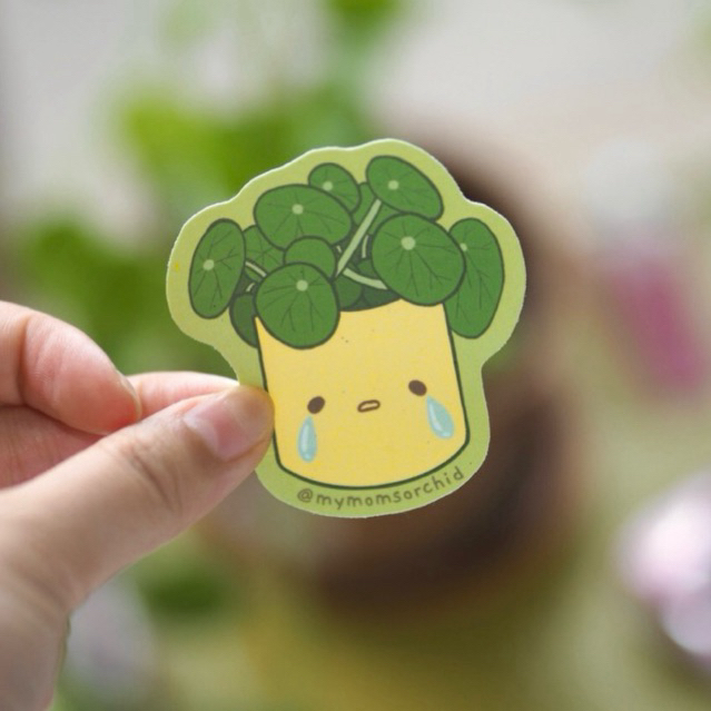 

Sad Pilea Waterproof Vinyl Sticker by MyMomsOrchid