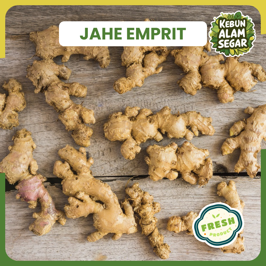 

JAHE EMPRIT SEGAR 250 gram Asli Gunung