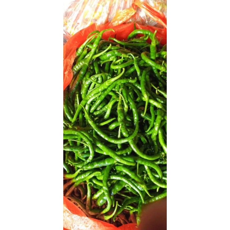

CABE HIJAU / CABE IJO