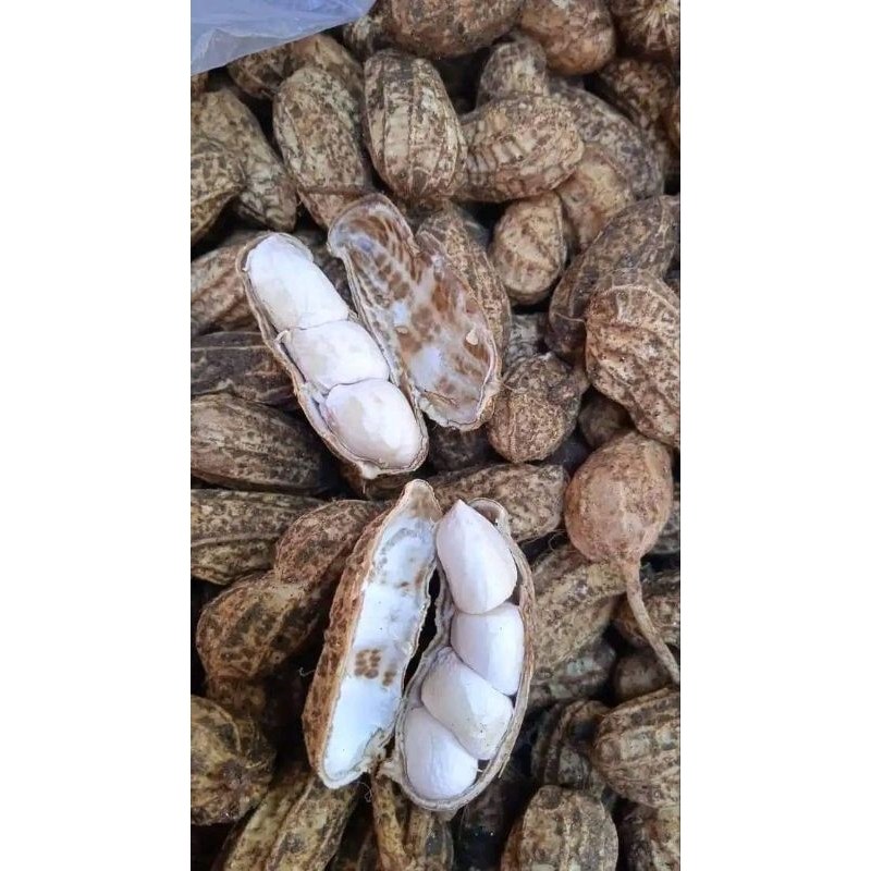 

KACANG TANAH 1KG