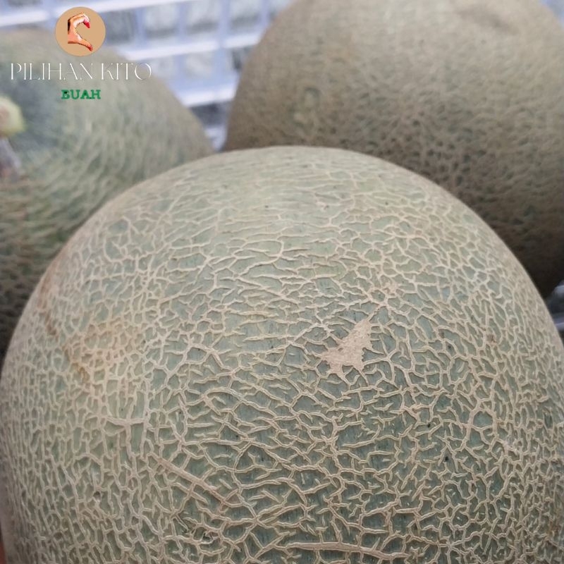 

melon perbuah ±1200g (dijamin manis)