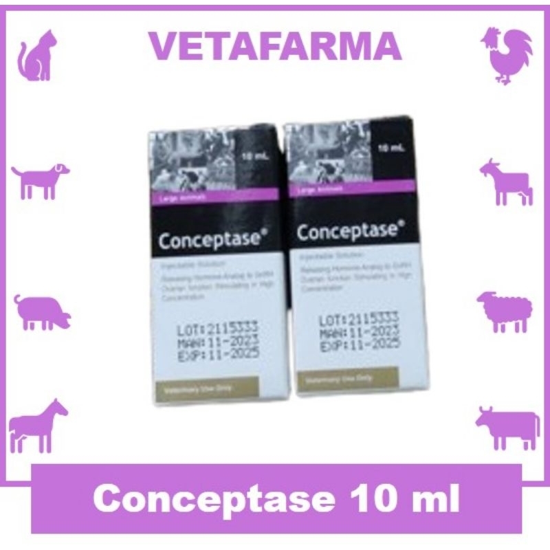 Conceptase 10 ml (Hormon GNRH)