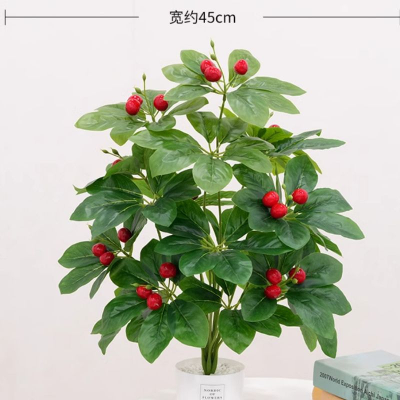 Pohon Wali Songo Tinggi 75cm 18 Daun ( Tanpa Pot )