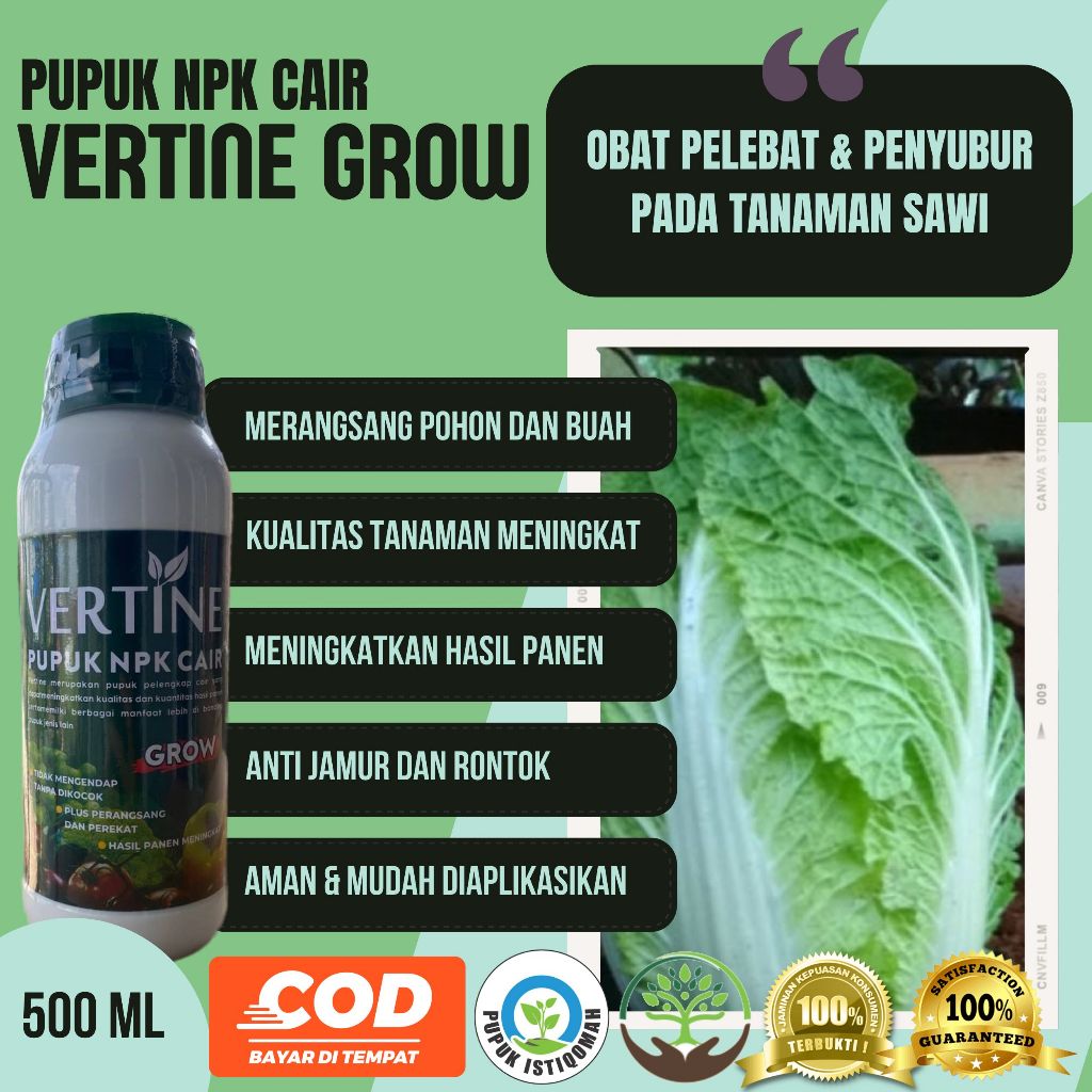 VERTINE GROW PUPUK Pelebat Sawi Putih Tanpa Penyakit dan Hama Sawi Putih, Pupuk NPK CAIR Pelebat Saw