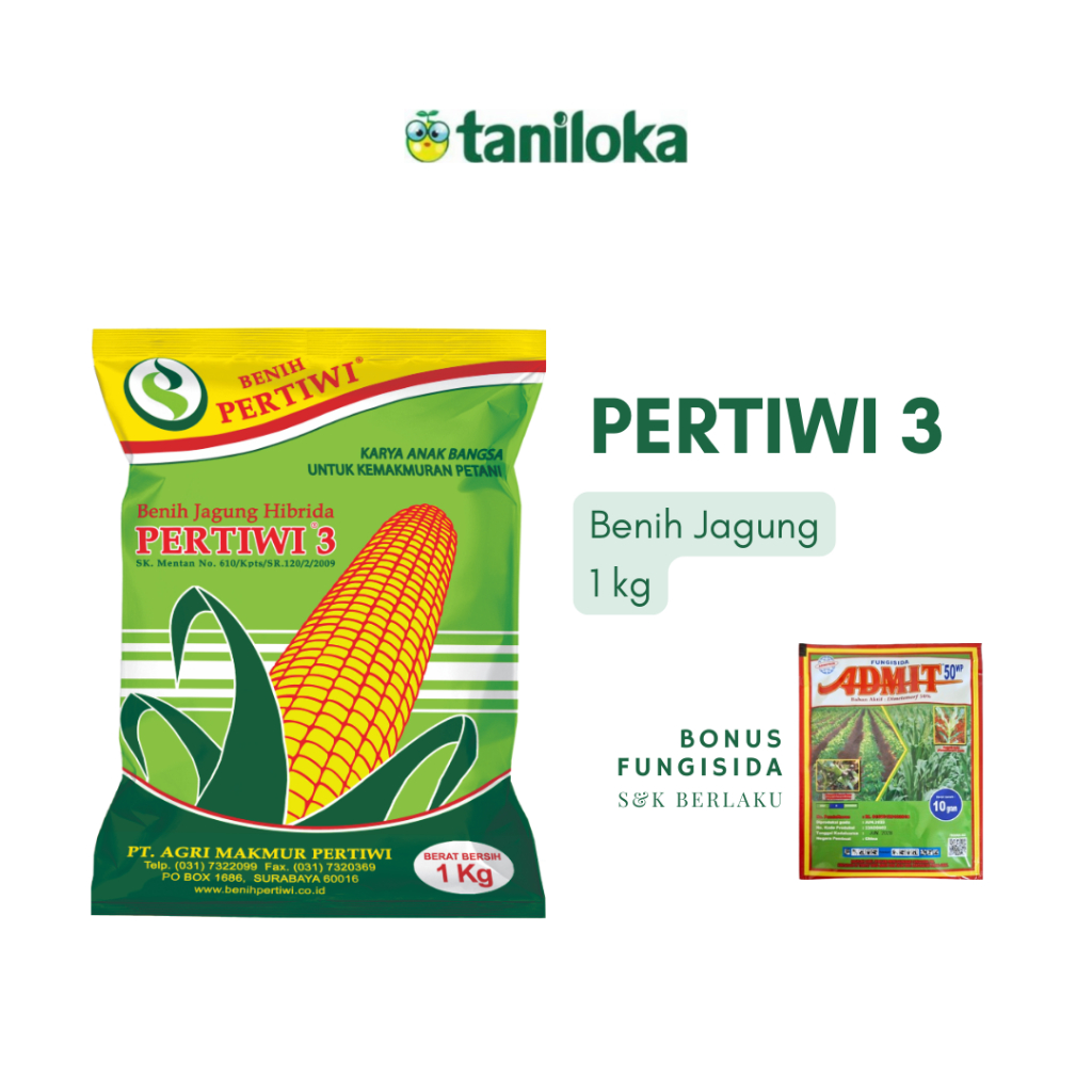 Benih Pertiwi - Benih Jagung Pertiwi 3 (1 Kg)