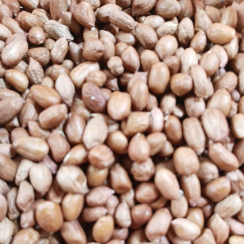 Kacang tanah 1 kg