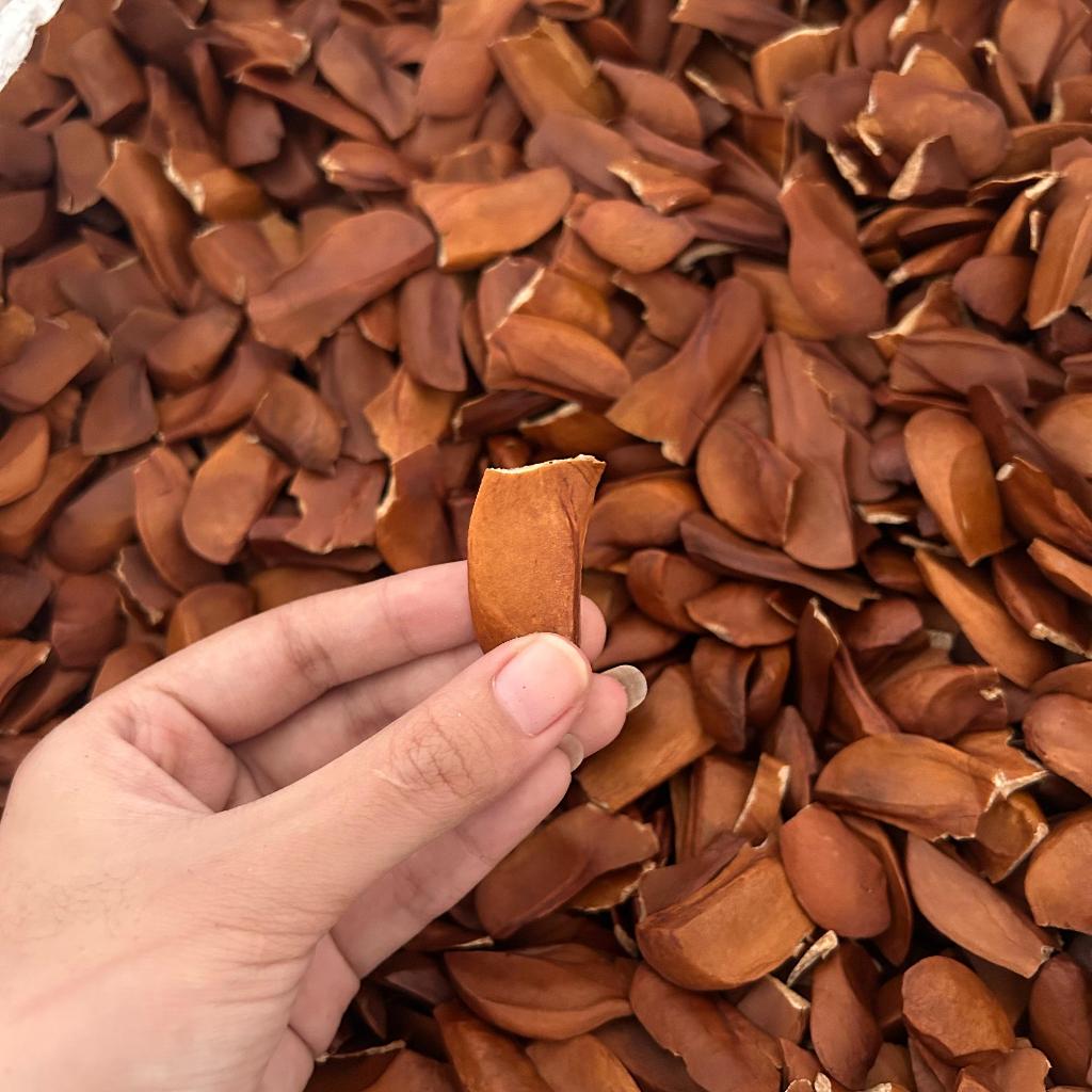 

MAHONI KULIT 1KG | MAHONI PREMIUM