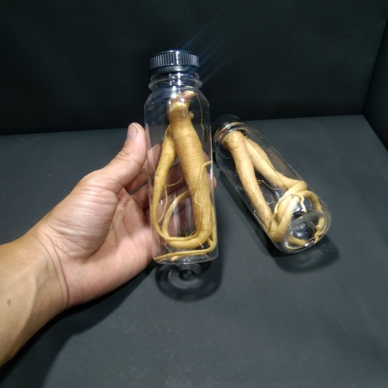 

ginseng merah korea ukuran 250ml
