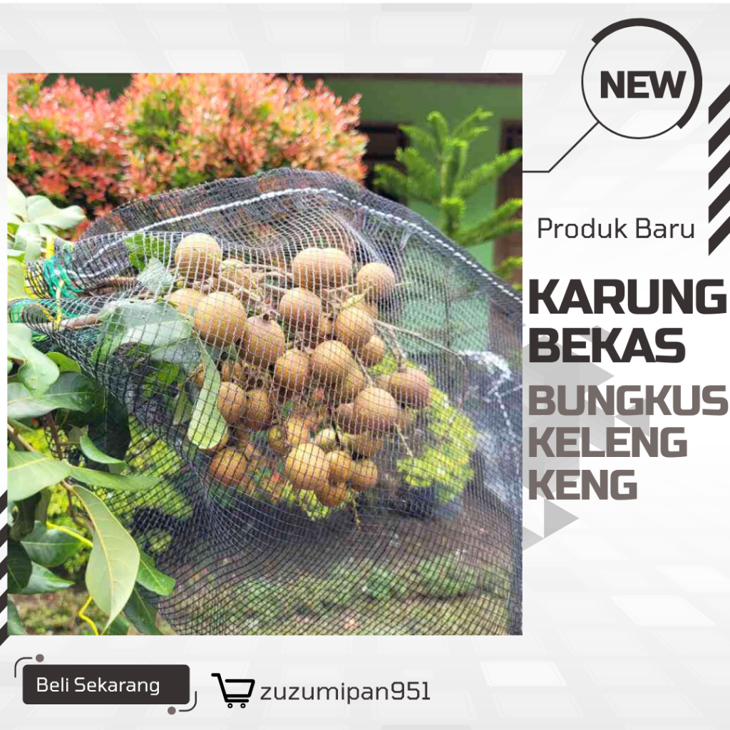 Brongsong Kelengkeng|35x55 cm Lengkap Tali Brongsong Matoah Klengkeng