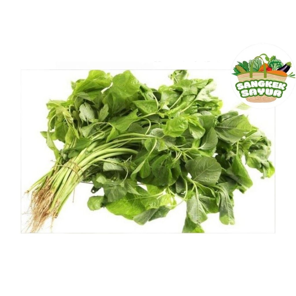 

Bayam Hijau per Ikat - sangkek.sayur PALEMBANG