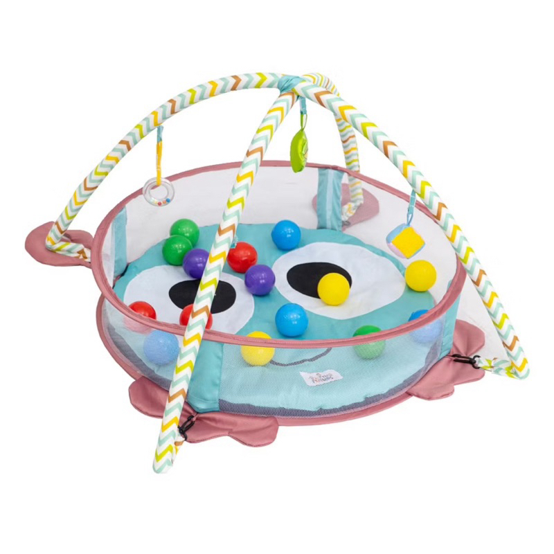 Little Friends Baby Playmat Playgym